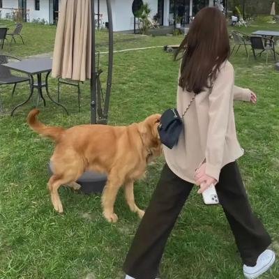 美国犯罪的最后日子